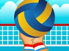 Volleyball sport spil